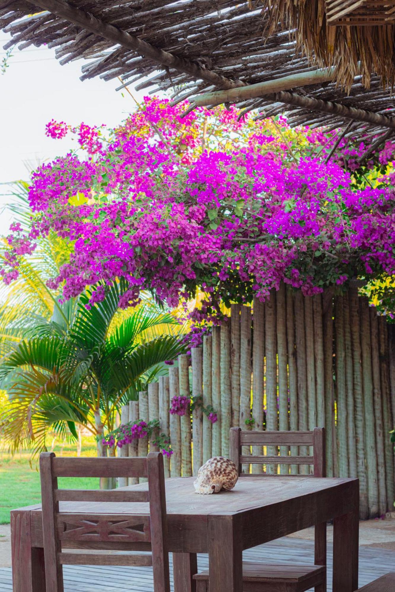 Preabeach Lodge By Preabeach Experience Praia do Preá Exterior foto